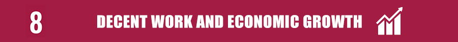 SDGGoal8-Decent work and Economic Growth